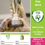 FAI Futsal Cup Final programme